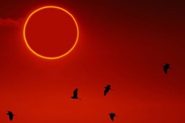 Eclipse solaire 2021 : Comment regarder la magnifique éclipse du Cercle de feu le 10 juin