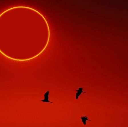 Eclipse solaire 2021 : Comment regarder la magnifique éclipse du Cercle de feu le 10 juin