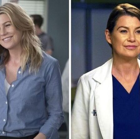 Ellen Pompeo de Grey's Anatomy riposte alors que les marques de fans saison 17 « feu de poubelle » « Pas facile »