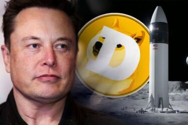 Elon Musk dit qu'une "nouvelle course à l'espace a commencé" alors que des milliardaires tentent de mettre Dogecoin sur la Lune