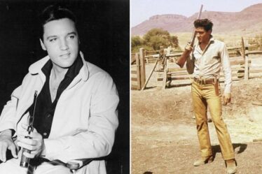 Elvis Presley : Le trou de balle trouvé dans l'aire de jeu de Lisa Marie à Graceland