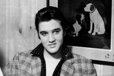 Elvis Presley a été interdit de danser lors d'un concert après avoir utilisé un jouet en peluche