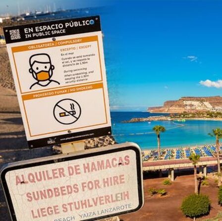 Espagne: les îles Canaries «devraient avoir un traitement différent» – la décision de la liste verte critiquée