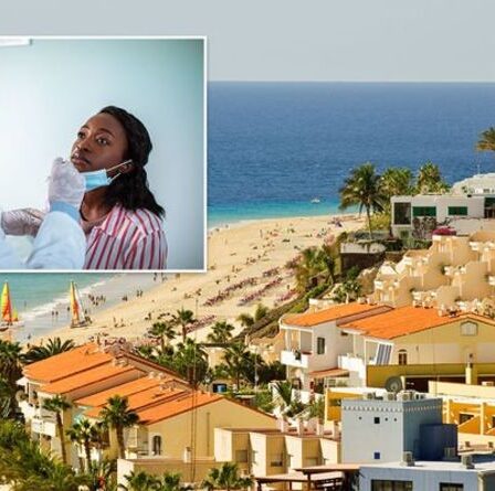 Espagne : les règles de contrôle se durcissent pour les visites aux Canaries et aux Baléares - Conseil FCDO