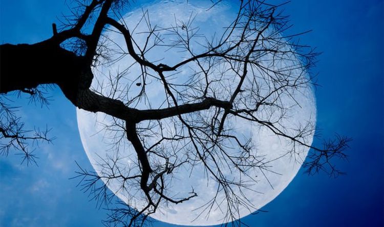 Est-ce une Super Lune ce soir ?  Regardez « le point culminant de cette semaine » : la super lune aux fraises