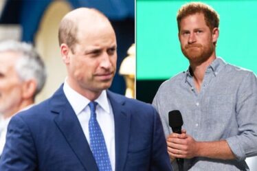 "Faire allusion aux tensions intérieures": le prince Harry mentionne William avant le dévoilement de la statue de Diana
