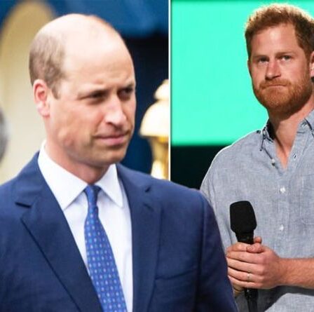 "Faire allusion aux tensions intérieures": le prince Harry mentionne William avant le dévoilement de la statue de Diana
