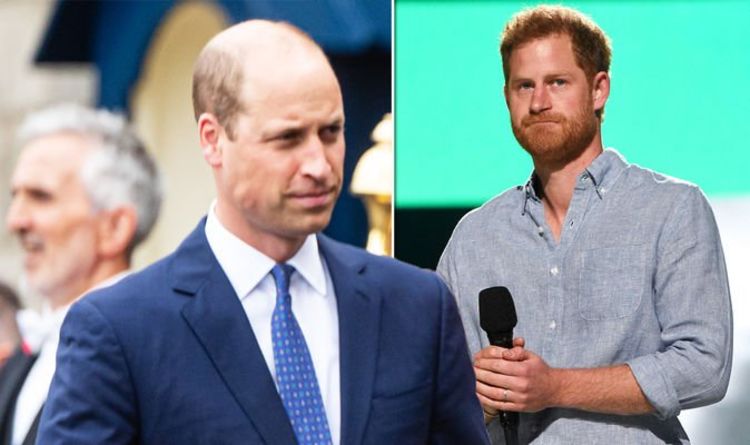 "Faire allusion aux tensions intérieures": le prince Harry mentionne William avant le dévoilement de la statue de Diana