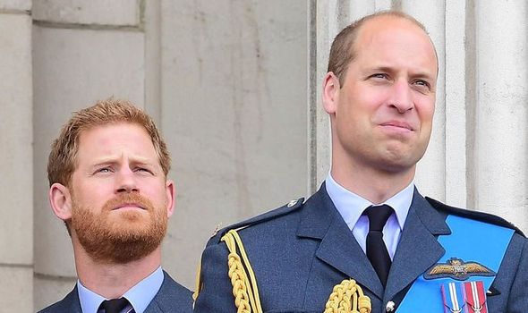 Prince Harry prince william princesse Diana dévoilement de la statue de la famille royale querelle de nouvelles