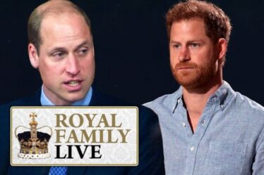 Famille royale EN DIRECT: Harry et William «à la gorge» et «se querellent» lors des retrouvailles