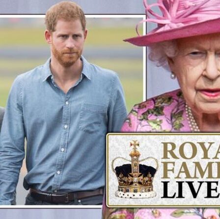 Famille royale EN DIRECT: la reine " n'a pas rencontré Lilibet lors d'un appel vidéo " - la réclamation d'un initié du Sussex est refusée