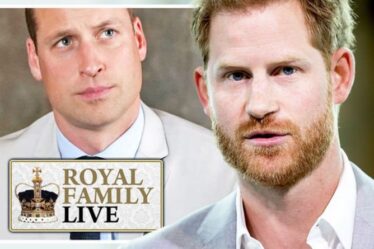 Famille royale EN DIRECT: le prince Harry NE choisira PAS le prince William comme parrain – « Veut un mentor »