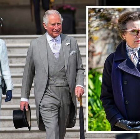 "Forts contrastes": la princesse Anne et le prince Charles "très différents" l'un de l'autre