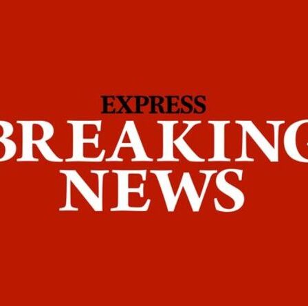 Fuite des plans du destroyer secret de la Royal Navy – documents classifiés laissés à l'arrêt de bus