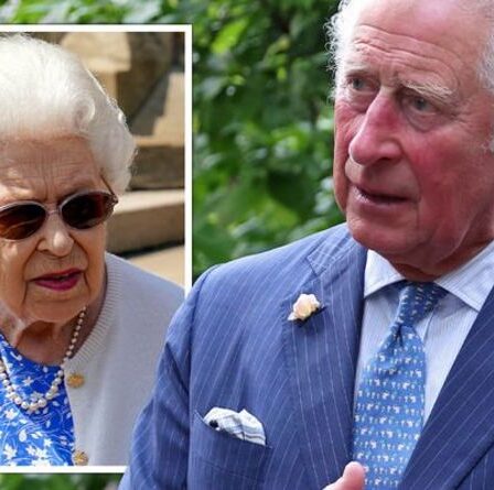 Fureur de la reine: le prince Charles a été réprimandé par le roi pour son «délice privé» lors de son abdication
