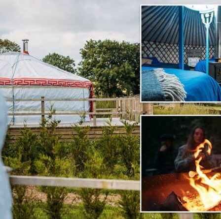 Glamping à The Fir Hill : une version bohème du camping niché dans la campagne de Cornouailles