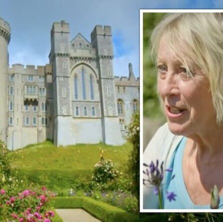 Great British Gardens : Carol Klein partage la technique du « Chelsea chop » pour améliorer la floraison