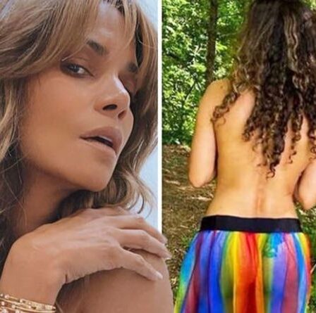 Halle Berry se déshabille en un clin d'œil alors qu'elle suscite la frénésie avec un tatouage inférieur caché