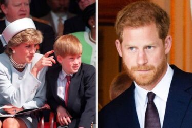 Harry «craint la réaction du public» lors de la récupération de la succession de Diana – avant la ligne de financement de Charles
