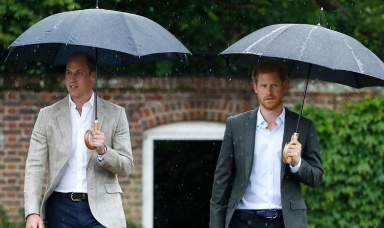 Harry et William «ne guériront pas la rangée royale» lors de la cérémonie de Diana – la relation est maintenant en lambeaux