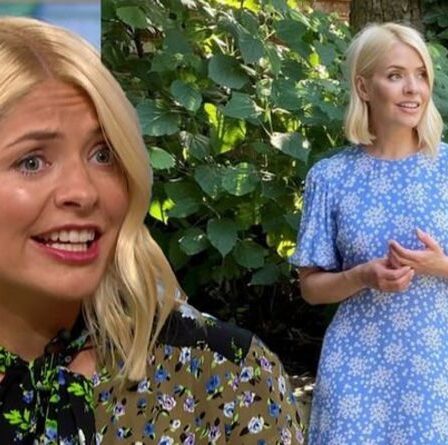 Holly Willoughby: l'animatrice de This Morning suscite la frénésie alors qu'elle modélise une robe bleue fine comme du papier