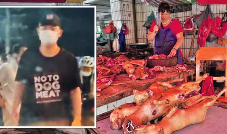 Horreur de la viande de chien: la ferme Sickening Yulin facture 100 £ pour les chiens ou les chiots enceintes massacrés