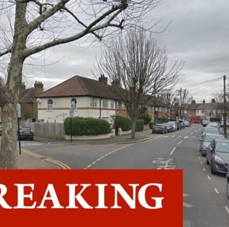 Horreur d'enlèvement à Londres: la police lance une chasse à l'homme après qu'une fille a failli être enlevée sur le chemin de l'école