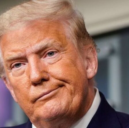 Humiliation de Trump : l'ex-POTUS fait s'effondrer Twitter après la fermeture du blog - " Triste !