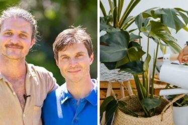 Jardinage : les conseils des frères Rich pour faire entrer la nature à l'intérieur - « douche avec ta plante ! »