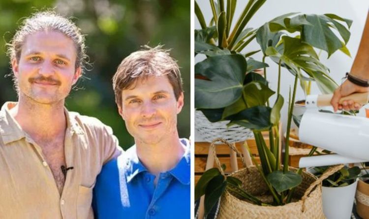 Jardinage : les conseils des frères Rich pour faire entrer la nature à l'intérieur - « douche avec ta plante ! »