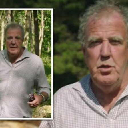 Jeremy Clarkson dénonce les «crétins» qui font exploser sa «déforestation» alors qu'il éclaircit le bois pour la nature