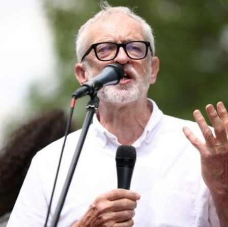 Jeremy Corbyn assiste à une manifestation pro-Palestine devant le No10 – même si Boris n'est pas là