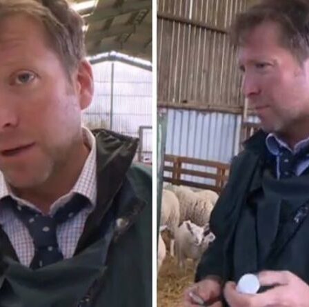 Julian Norton, du Yorkshire Vet, réfléchit à son départ de Skeldale "Une décision difficile"