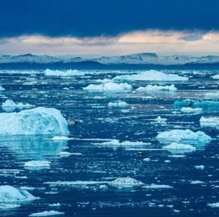 L'Arctique pourrait avoir dépassé le point de non-retour, selon un grand expert