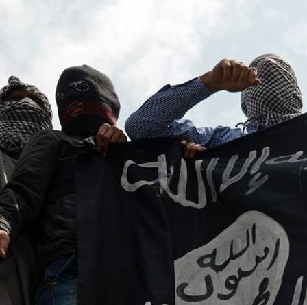 L'Etat islamique "sur le point de s'emparer des grandes villes" d'Afrique de l'Ouest après avoir consommé Boko Haram