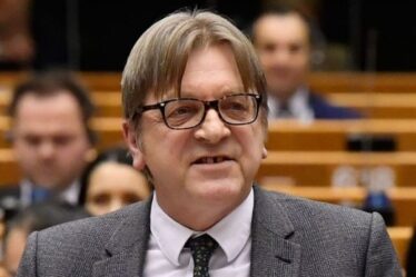 « L'UE n'est qu'un mensonge ! »  Guy Verhofstadt brutalement déchiré à cause d'un tweet sur "l'identité européenne"