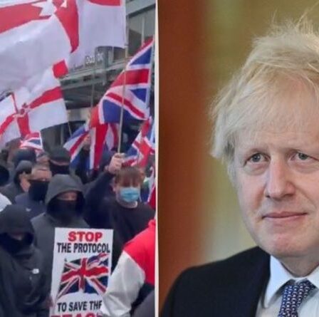 « L'UE réveille-toi ! »  Des centaines de personnes manifestent contre le protocole NI alors que Boris est accusé de "trahir l'Union"