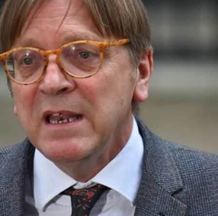 L'UEFA exaspère Guy Verhofstadt : l'eurodéputé belge appelle le maire de Munich à illuminer le stade