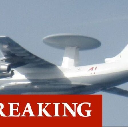 La Russie force les avions de combat de l'OTAN à entrer en action alors que Poutine affronte Biden – les avions se sont précipités