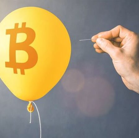La bulle Bitcoin va exploser - Les experts se prononcent sur l'avenir «volatile» de la crypto-monnaie