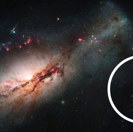 La découverte d'une supernova jette un nouvel éclairage sur le mystère cosmique de 1 000 ans « Qu'est-ce que ce cinglé ? »