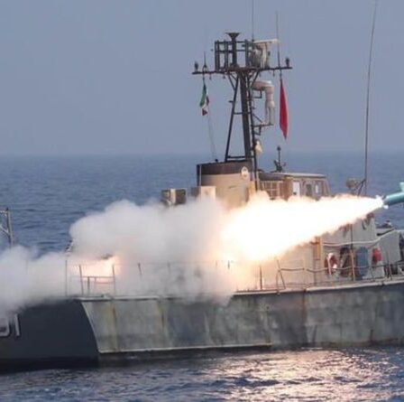 La flotte de navires de guerre INCROYABLE de l'Iran exposée - À l'intérieur des 88 navires derrière la puissance de la marine iranienne