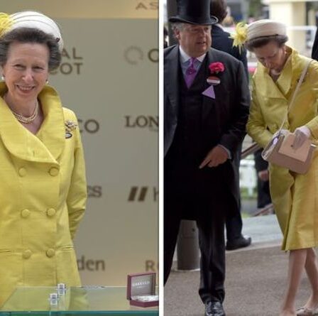 La princesse Anne arbore un visage joyeux dans un manteau brillant après une nouvelle déchirante sur le divorce