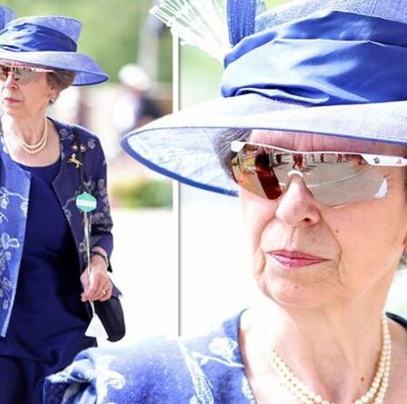 La princesse Anne "élégante" mais "classique" en tenue brodée bleu marine pour Royal Ascot 2021