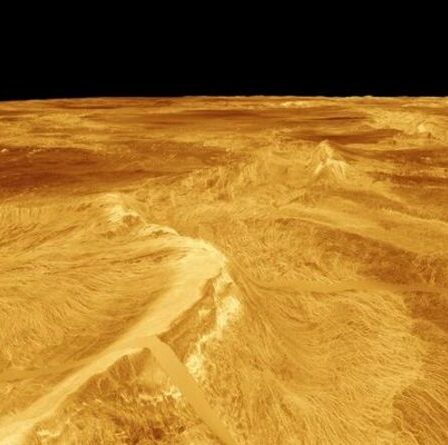 La vie sur Vénus : le paysage « infernal » de Vénus est peut-être inhabitable après tout