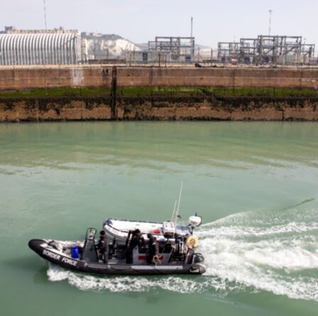 L'ancien patron de la Force frontalière prévient que l'afflux de migrants est un "processus en cours" et que le Royaume-Uni ne "fait pas face"