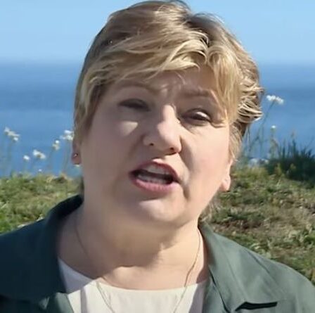 L'animateur de Sky News fait exploser les instincts des restes de Thornberry alors que les travaillistes blâment Boris au lieu de l'UE