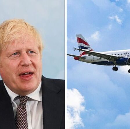 Le Royaume-Uni pourrait autoriser les passagers vaccinés à voyager à partir de fin juin après les pourparlers du G7