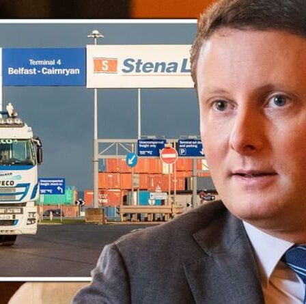 Le caniche de Macron qualifie Boris de "fou" d'avoir "oublié" ce qu'est le Brexit - exige une action en justice