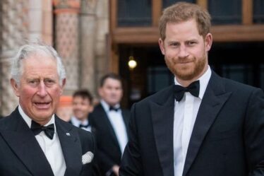 Le chagrin de la fête des pères du prince Charles alors que le «gouffre s'élargit» entre lui et le prince Harry